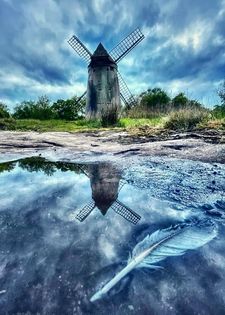 Heather Gars Bidston Windmill