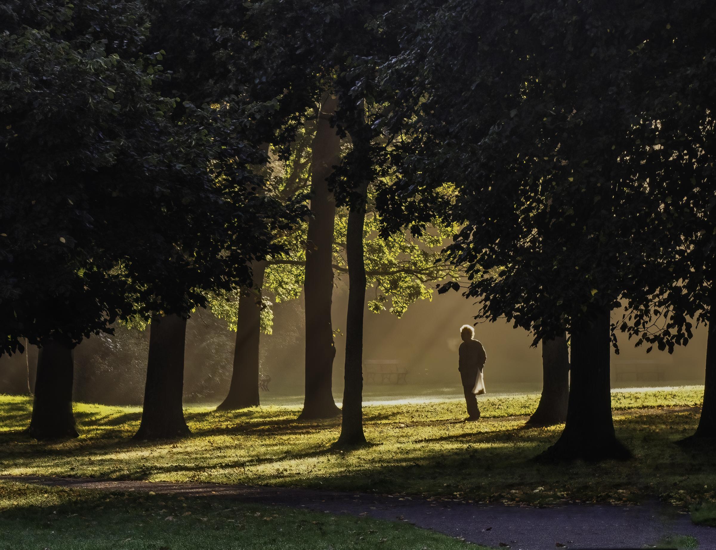 Ron was asked to supply the pictures for this year’s Birkenhead Park Calendar. This image was taken on an early morning walk in the park