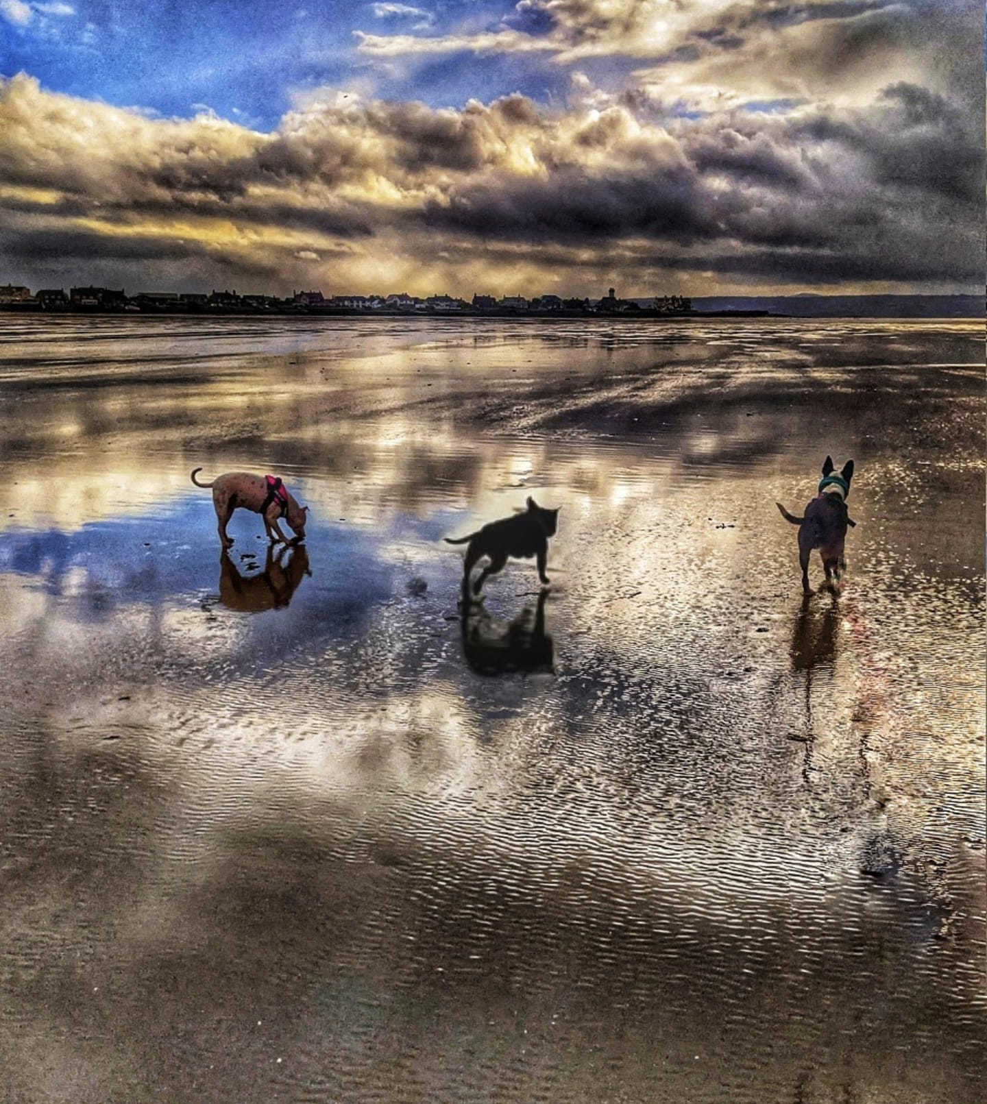 Meols beach by Kirsty Carroll