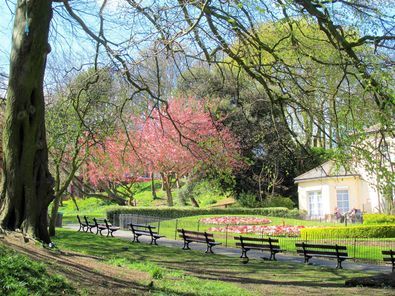 Spring in Vale Park, New Brighton by Jan E Peddie