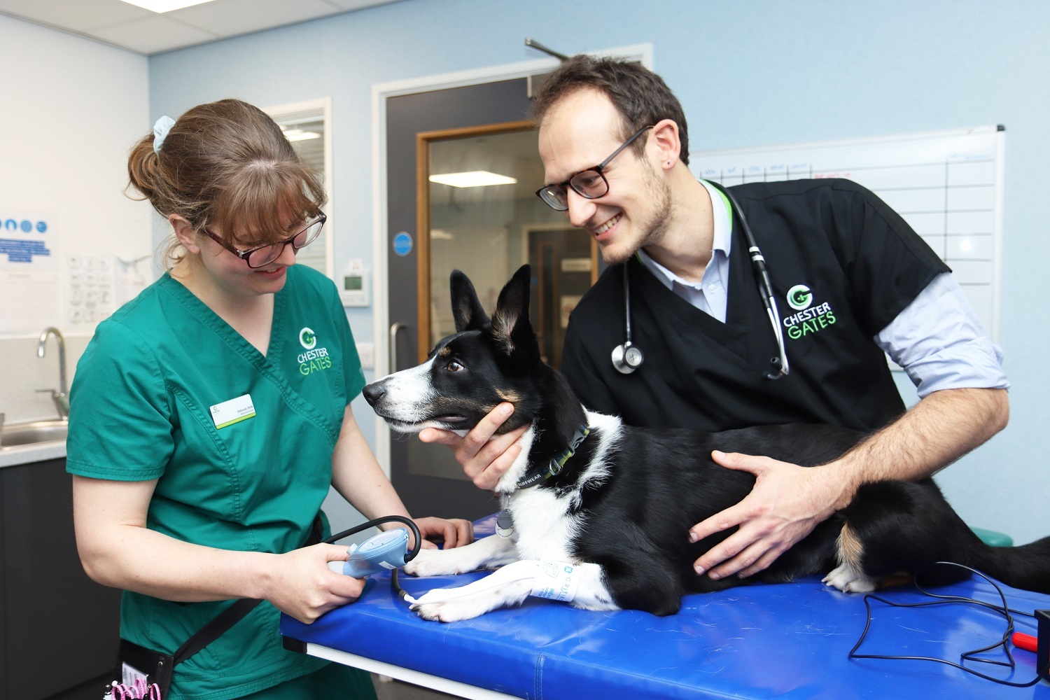 The team at Chestergates Veterinary Specialists will be providing a new service for puppies and kittens unique in the North West.