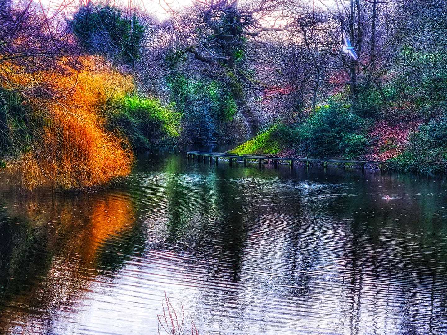 Birkenhead Park by Mandy Williams