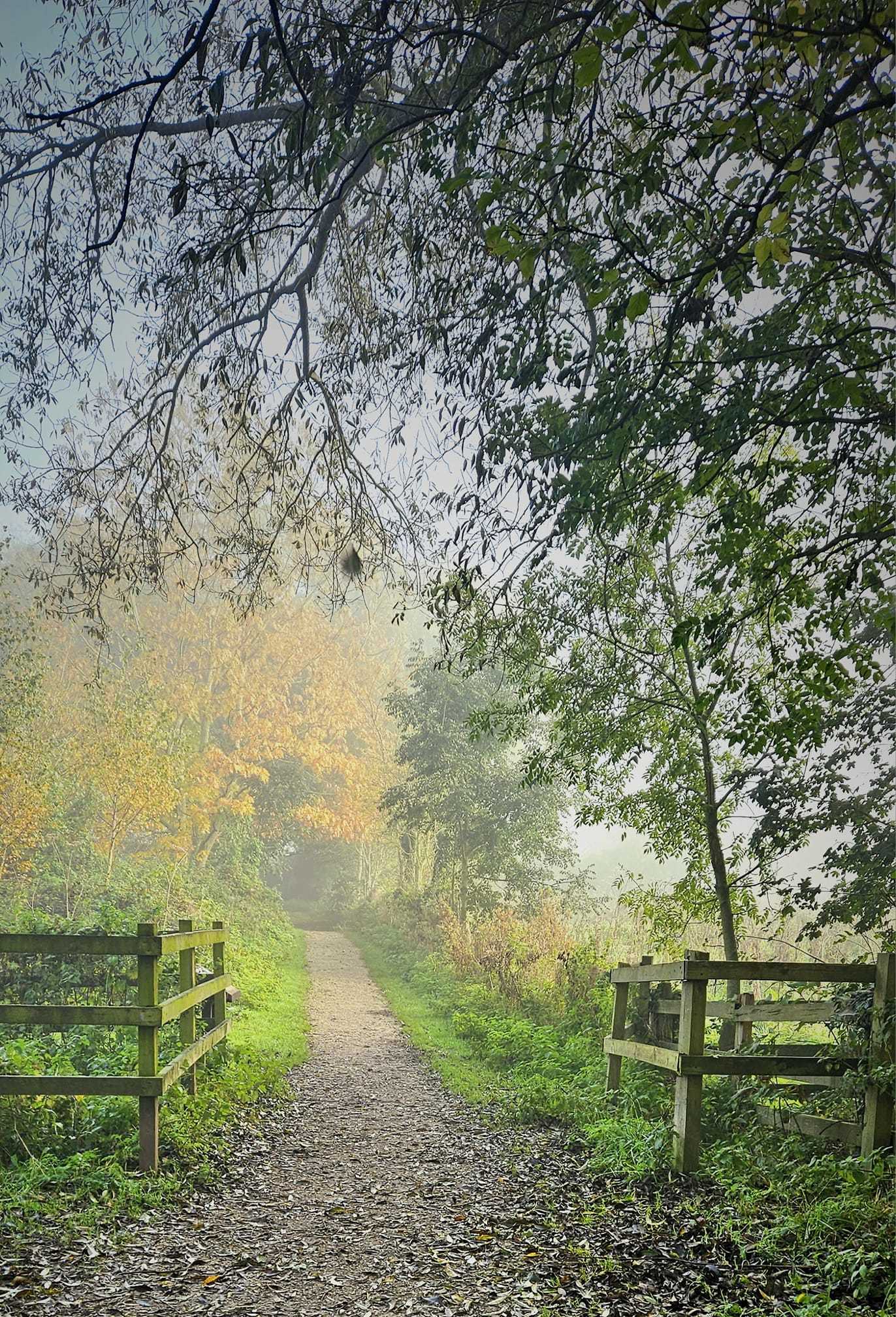 Lees Lane Country Park by Jane Leitch
