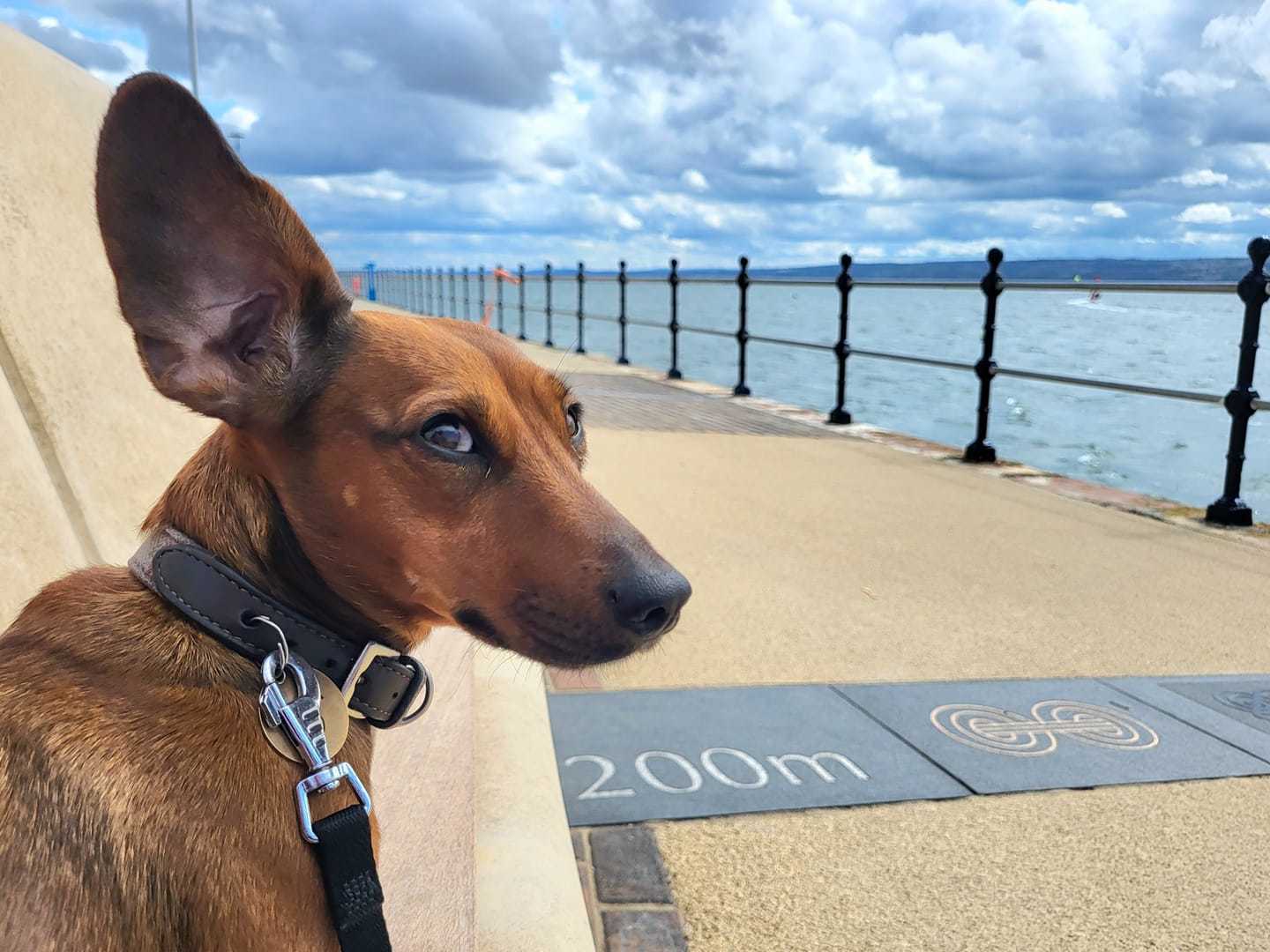 Ginny at West Kirby by Barb Williams