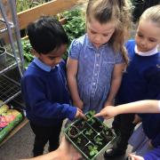 School transform ‘wasteland’ into well being garden