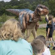 Teach Rex at Knowsley Safari