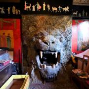 The extraordinary lion's head fireplace inside Rob's Place