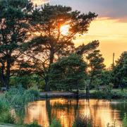 Picture of the park captured by Wirral Camera Club member, David Mansell.