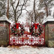Strawberry Field to celebrate Christmas with festive programme of events
