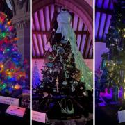 Wirral Christmas tree festival attracts record number of visitors