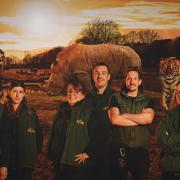 Kids go free at Knowsley Safari during February half term