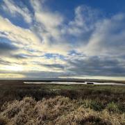 Top 14 walks in Wirral as we celebrate Walk Your Dog Month (Image Mark P Harding)