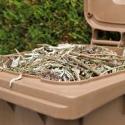 Dates confirmed for Wirral garden waste subscriptions renewal