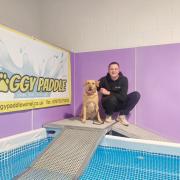 Swimming pool offering swimming lessons for dogs opens in new Wirral venue