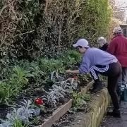 The Friends of Birkenhead Park volunteers at work
