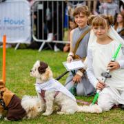 Mowgli’s dog show for Wirral charity Claire House returns