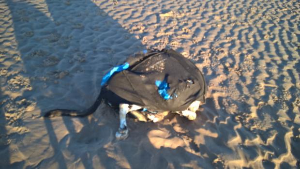 Connor's remains were found tied into a bag on the sand near Perch Rock